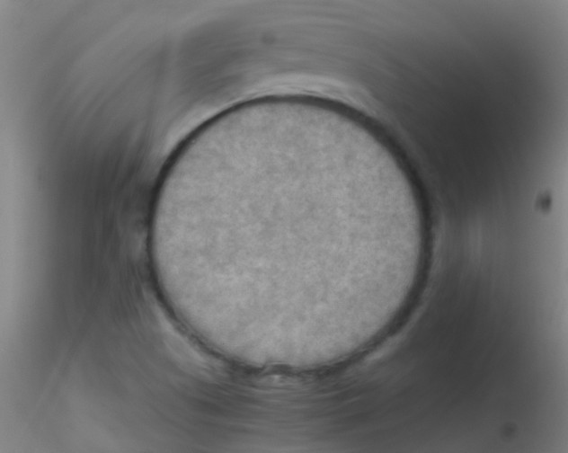 X0000115191505200911251408