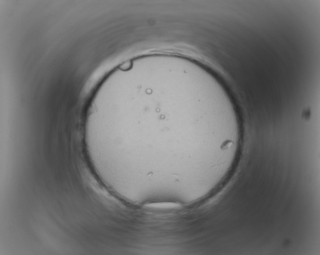 X0000115191506200911251408