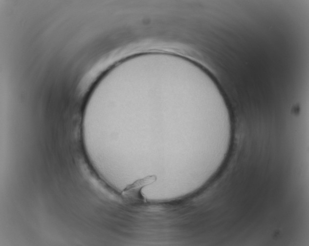 X0000115191507200911251408