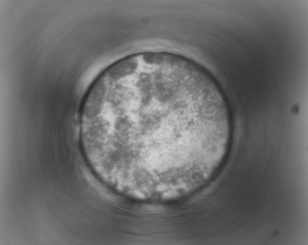 X0000115191509200911251408