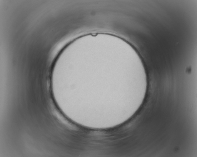 X0000115191511200911251408