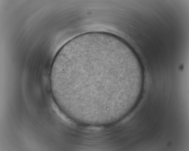 X0000115191513200911251408