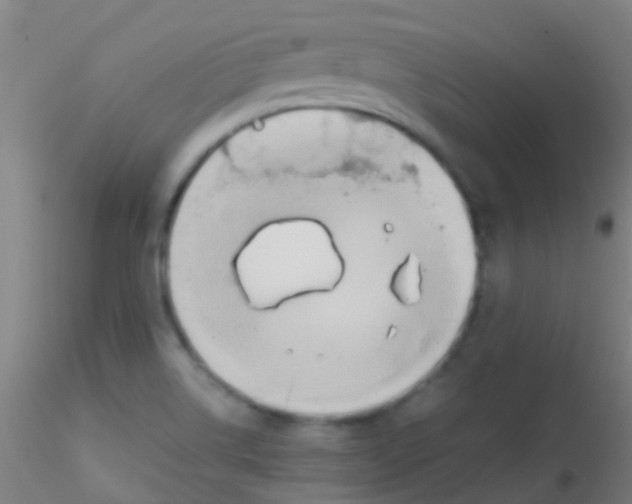 X0000115191514200911251408