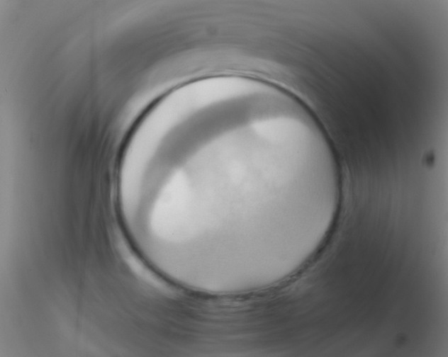 X0000115191515200911251408