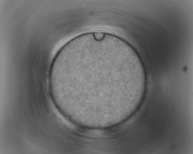 X0000115191517200911251408