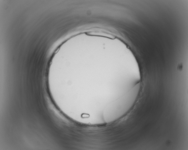 X0000115191518200911251408