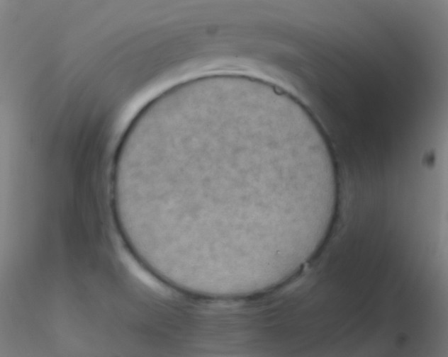 X0000115191519200911251408