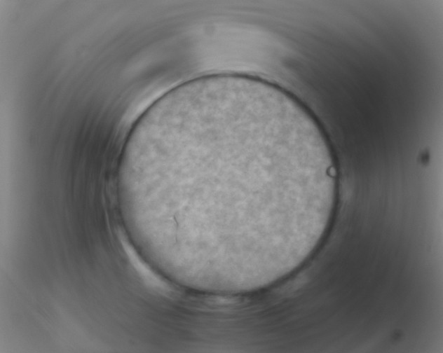 X0000115191521200911251408