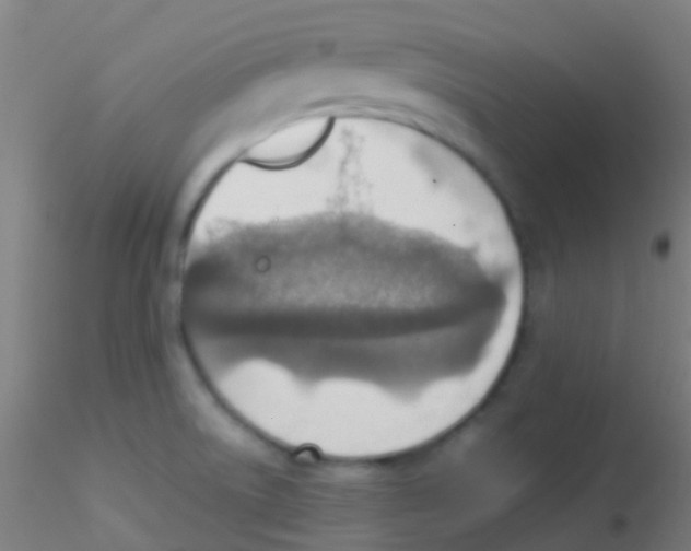 X0000115191522200911251408