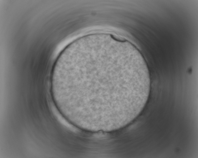 X0000115191523200911251408