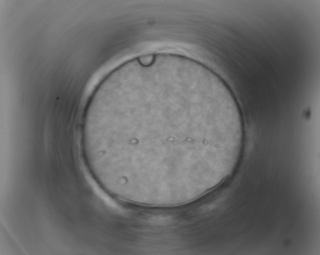 X0000115191525200911251408