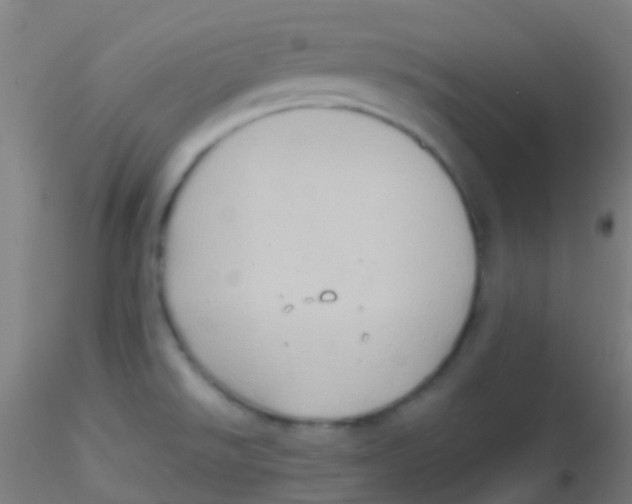 X0000115191526200911251408