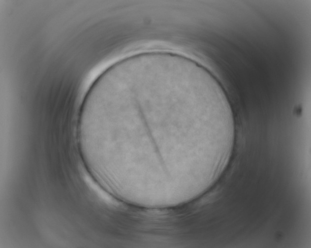 X0000115191527200911251408