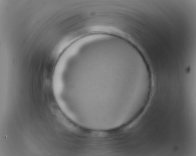 X0000115191529200911251408