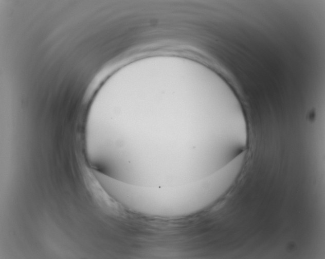 X0000115191530200911251408