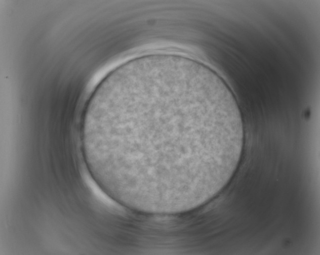 X0000115191531200911251408