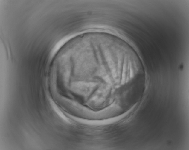 X0000115191533200911251408