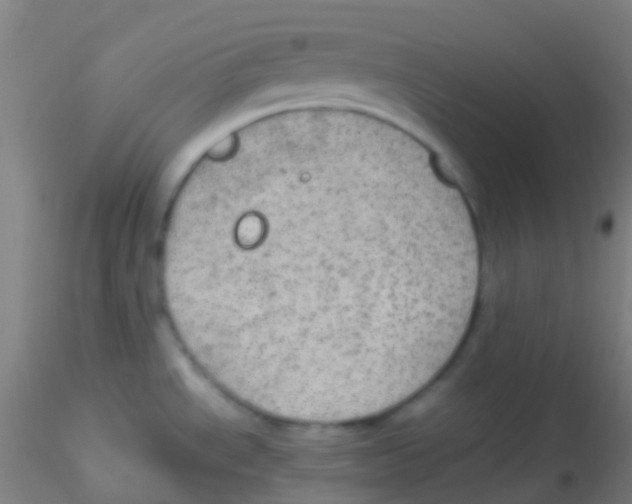 X0000115191534200911251408