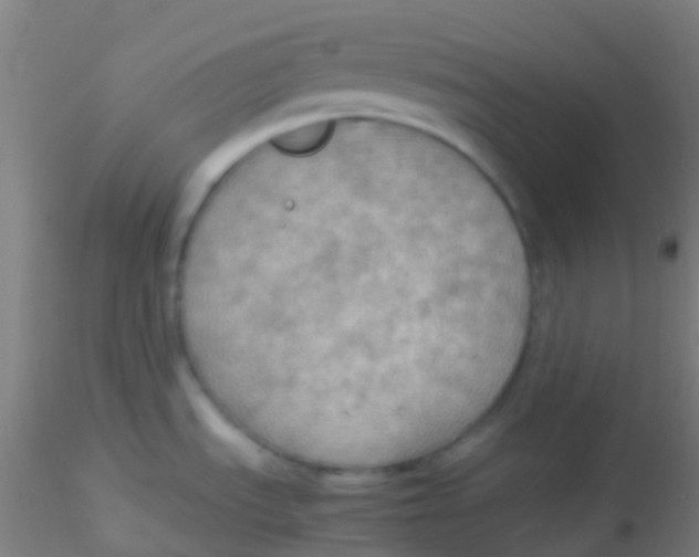 X0000115191535200911251408