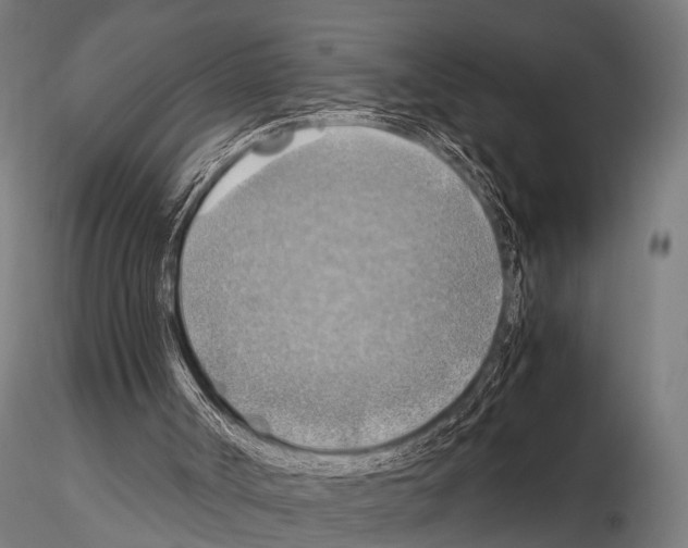 X0000115190002200912091121