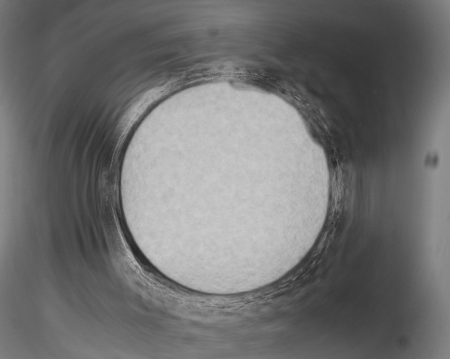 X0000115190003200912091121