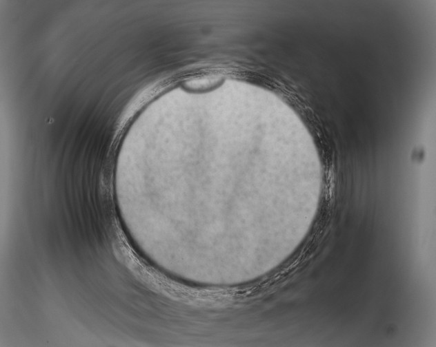 X0000115190004200912091121