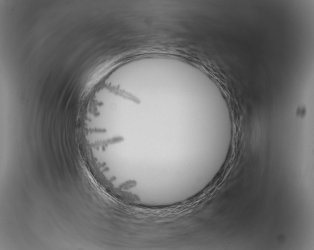 X0000115190005200912091121