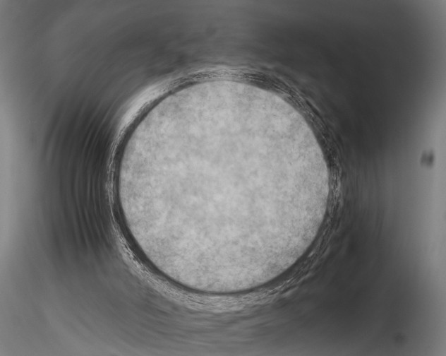 X0000115190006200912091121