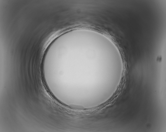 X0000115190007200912091121