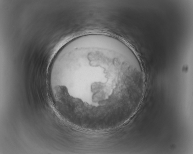 X0000115190008200912091121