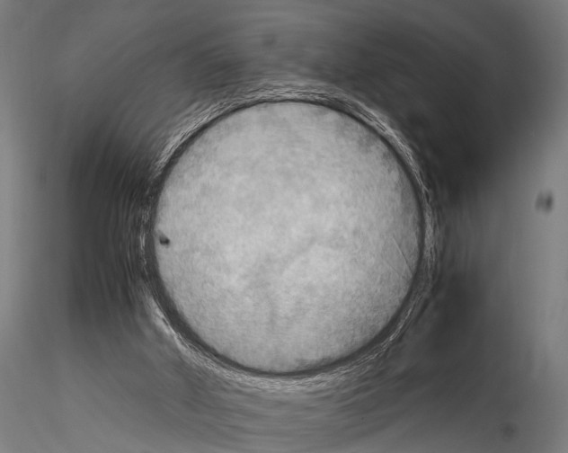 X0000115190010200912091121