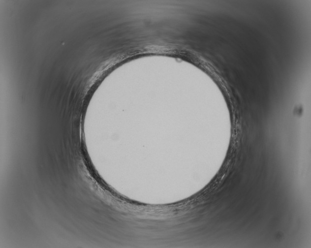 X0000115190011200912091121