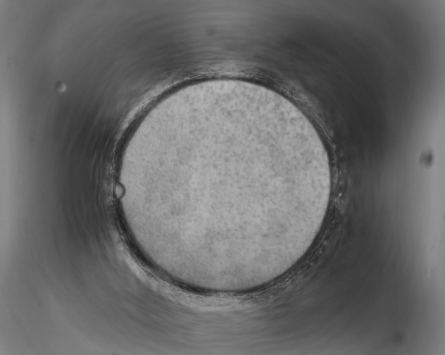 X0000115190012200912091121