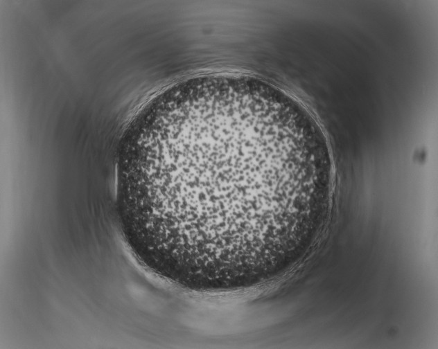 X0000115190013200912091121