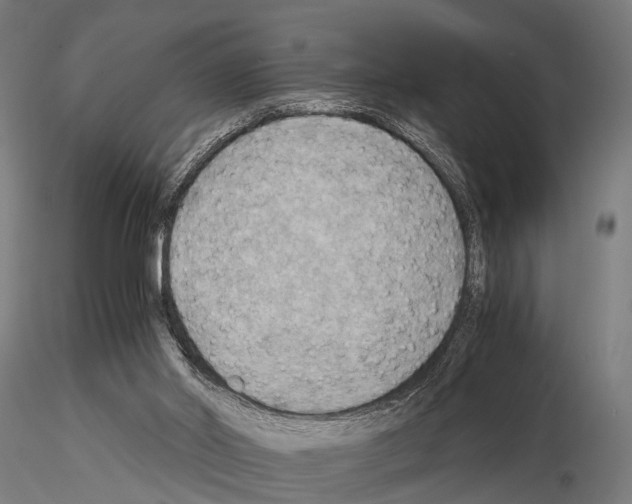 X0000115190014200912091121