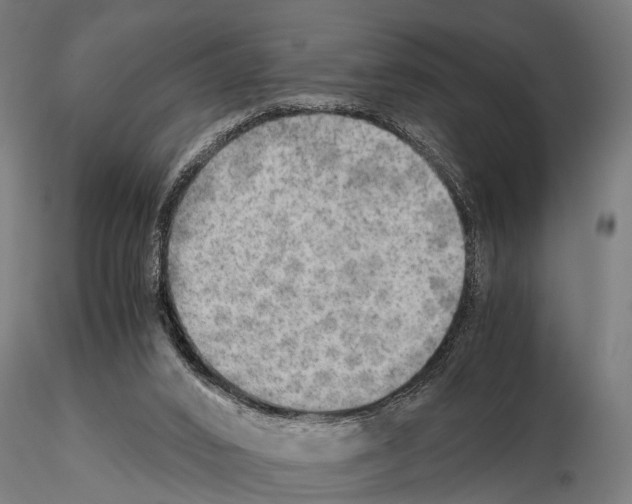 X0000115190016200912091121