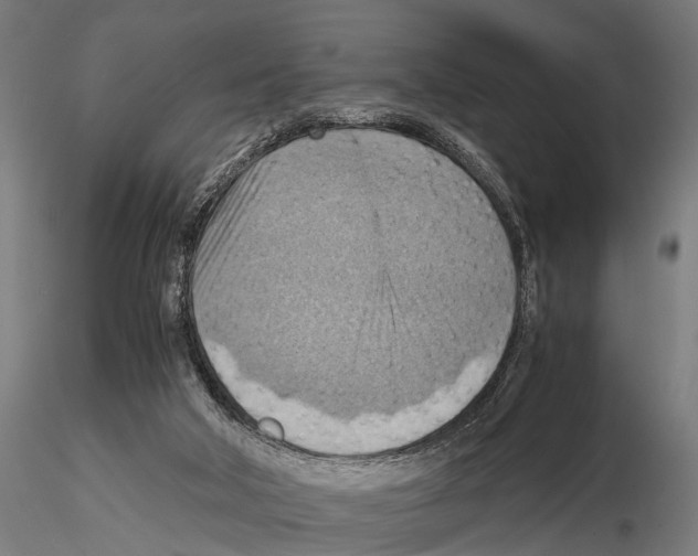 X0000115190018200912091121