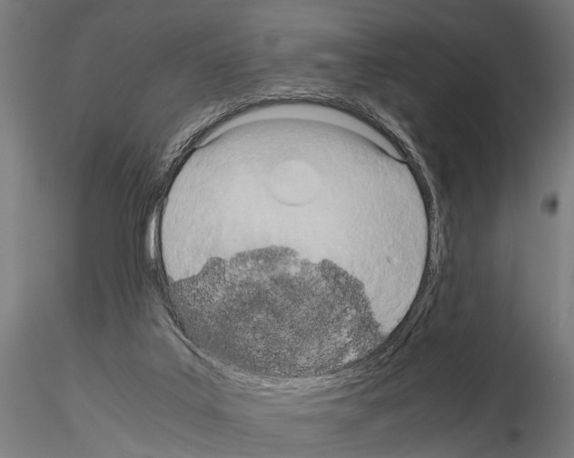 X0000115190019200912091121