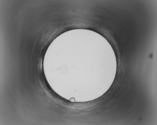 X0000115190021200912091121