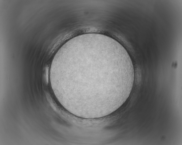 X0000115190022200912091121