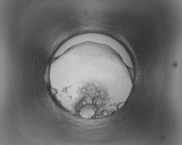 X0000115190023200912091121