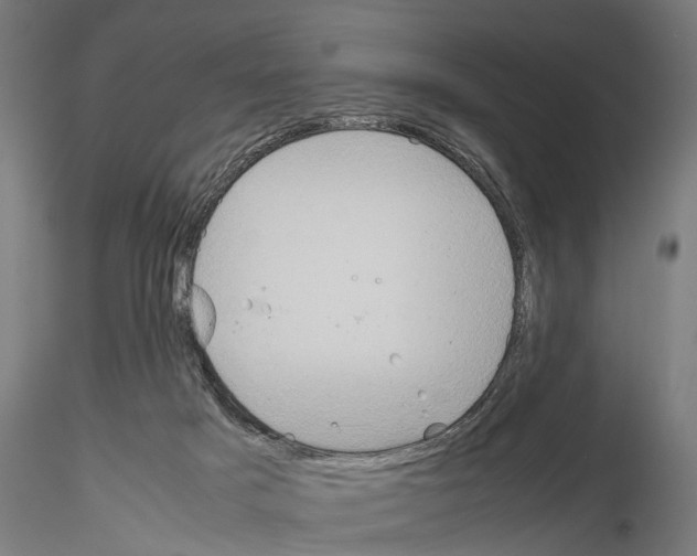 X0000115190025200912091121