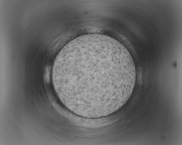 X0000115190026200912091121