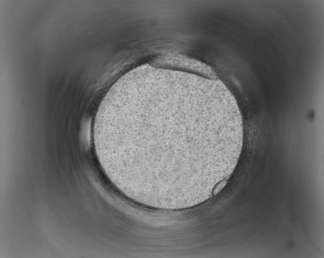 X0000115190028200912091121