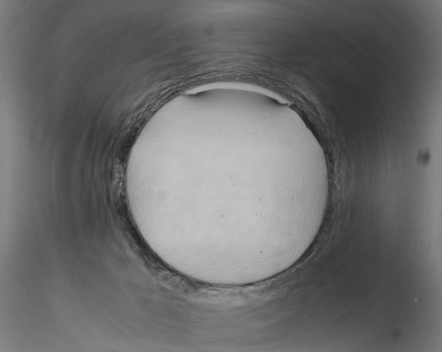 X0000115190029200912091121