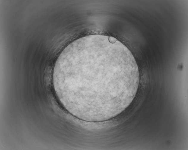 X0000115190030200912091121