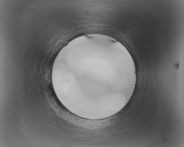 X0000115190031200912091121