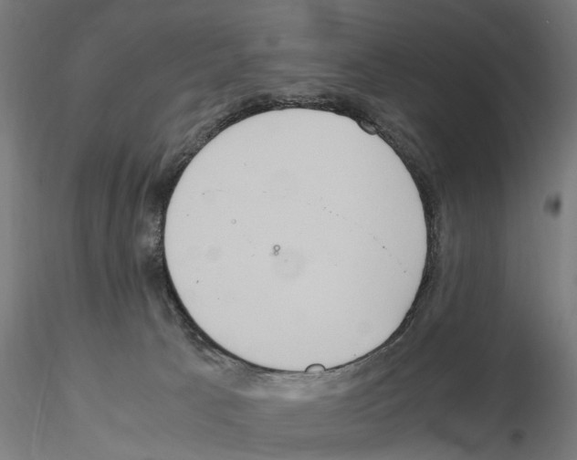 X0000115190033200912091121