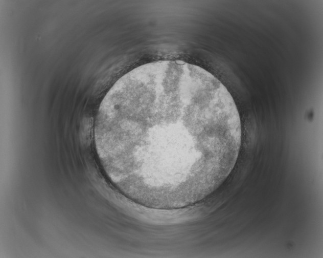 X0000115190034200912091121