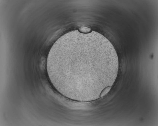 X0000115190036200912091121